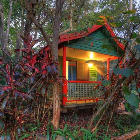 Lake Eacham Tourist Park & Cabins المظهر الخارجي الصورة