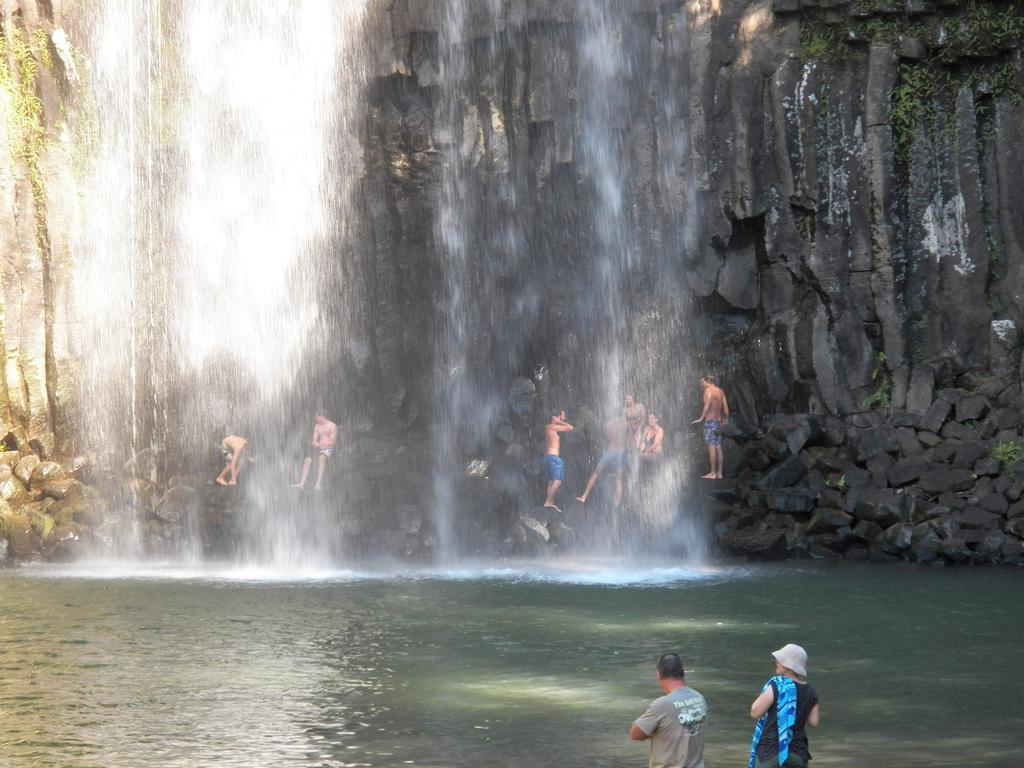 Lake Eacham Tourist Park & Cabins المظهر الخارجي الصورة