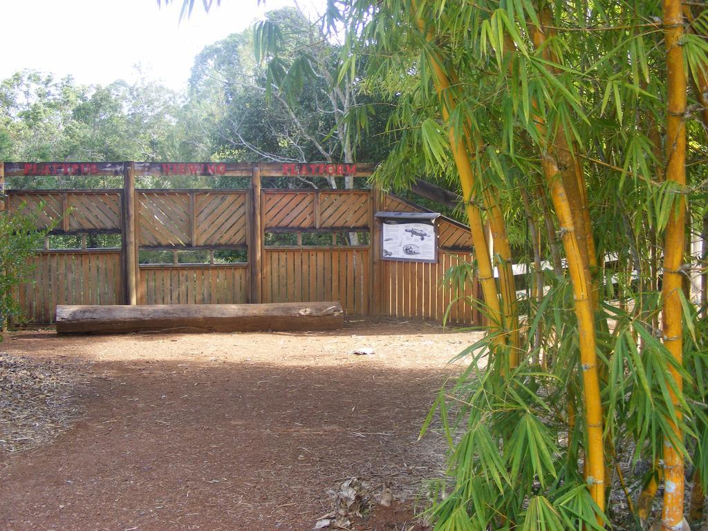 Lake Eacham Tourist Park & Cabins المظهر الخارجي الصورة