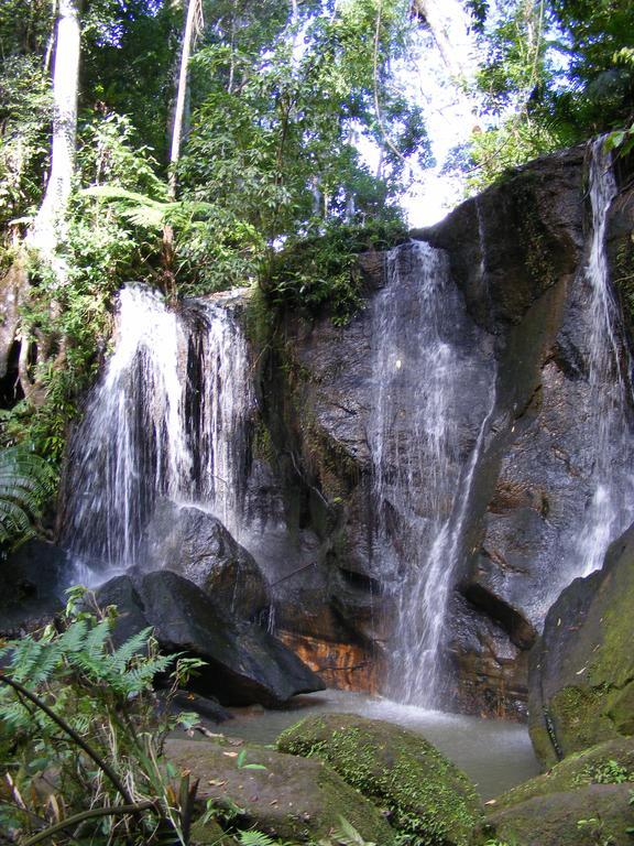Lake Eacham Tourist Park & Cabins المظهر الخارجي الصورة