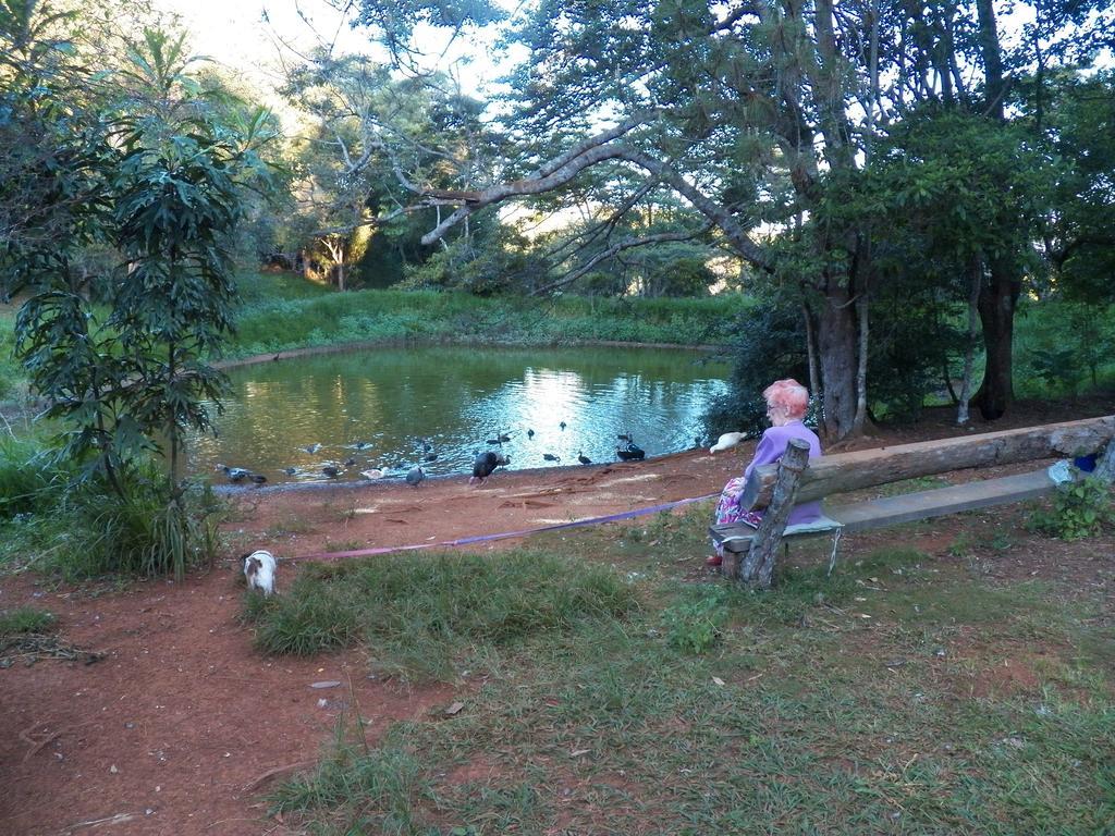 Lake Eacham Tourist Park & Cabins المظهر الخارجي الصورة
