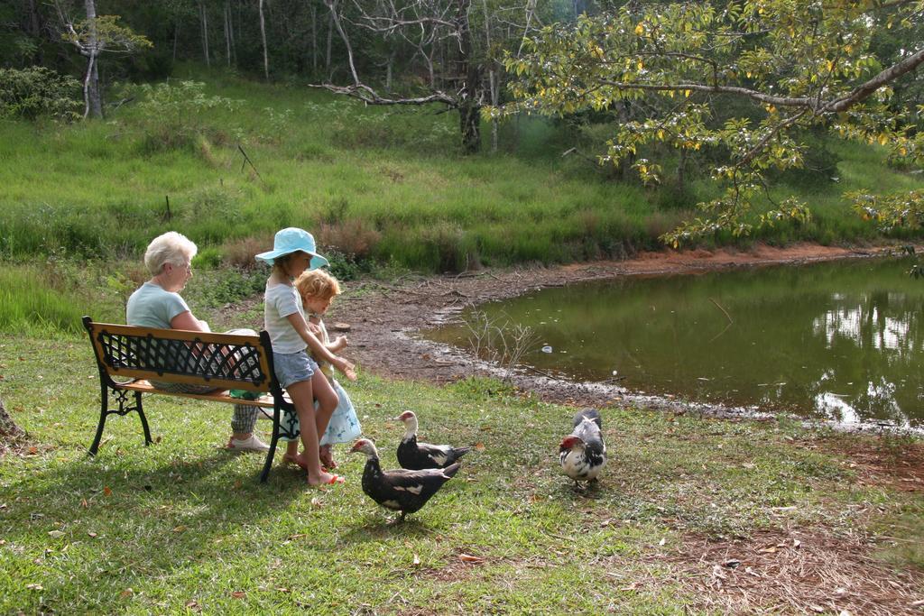 Lake Eacham Tourist Park & Cabins المظهر الخارجي الصورة