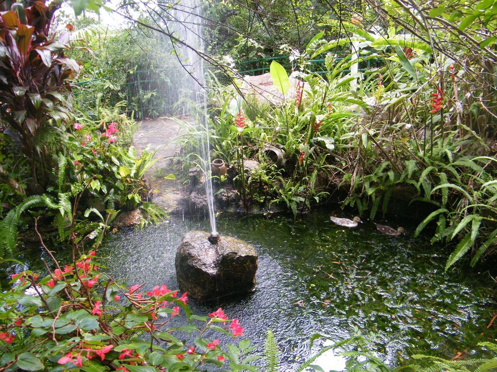 Lake Eacham Tourist Park & Cabins المظهر الخارجي الصورة