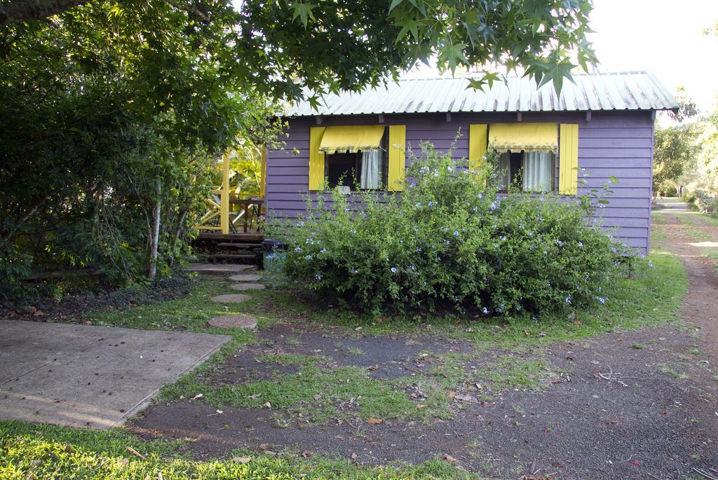 Lake Eacham Tourist Park & Cabins المظهر الخارجي الصورة
