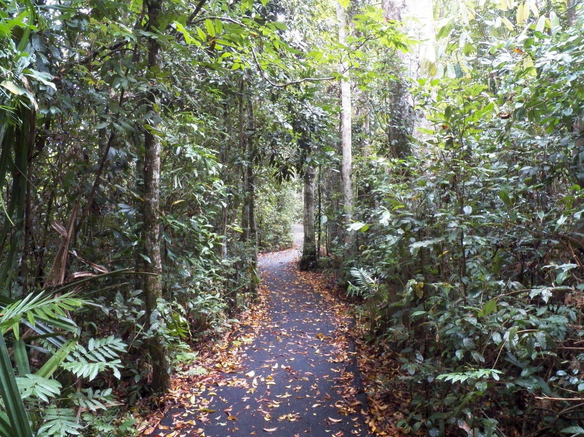 Lake Eacham Tourist Park & Cabins المظهر الخارجي الصورة