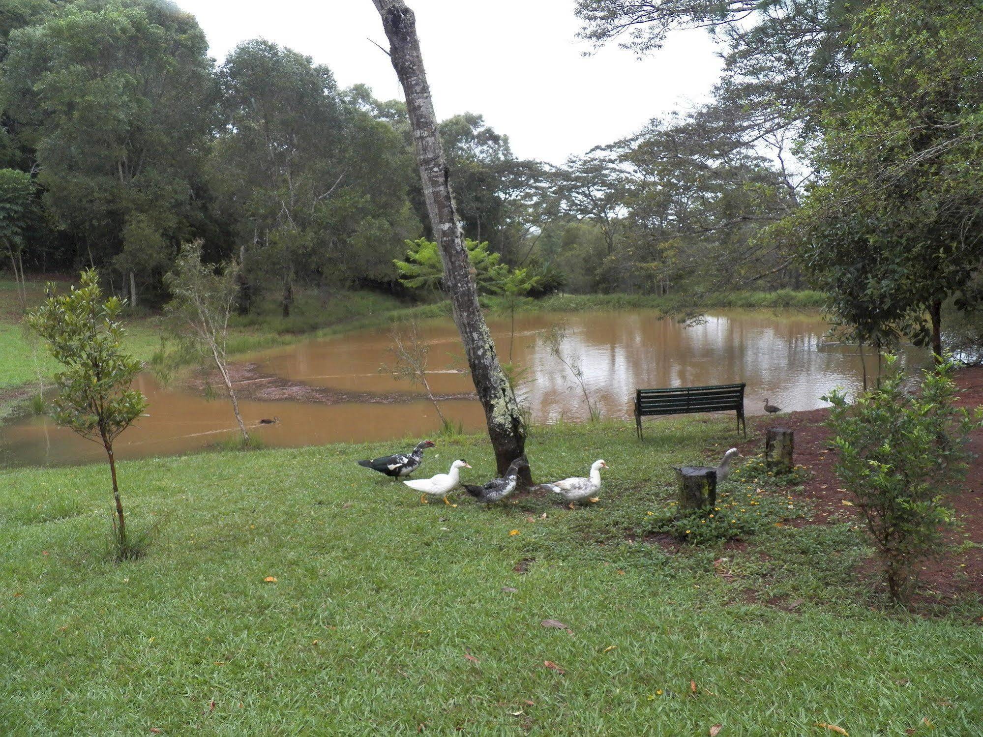 Lake Eacham Tourist Park & Cabins المظهر الخارجي الصورة